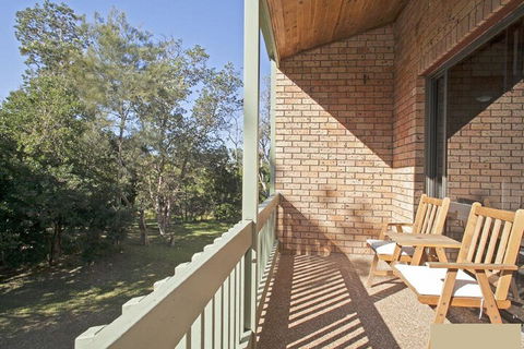 Banksia Sawtell NSW - Tourism TAS 6