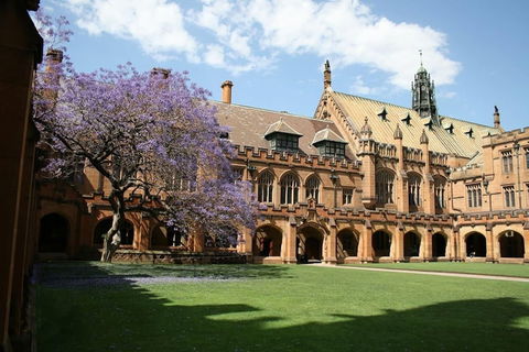 A Walk To Syd Uni & RPA Hospital - Tourism TAS 0