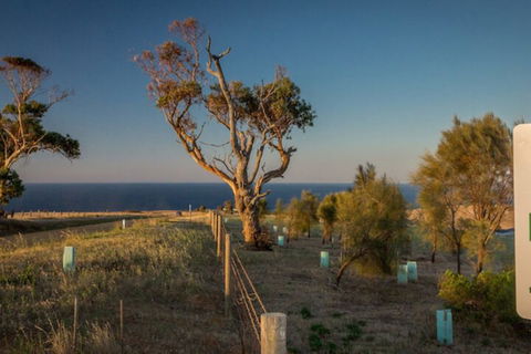 Fleurieu Coastal Retreat Lot 150 Myponga Beach Road - Tourism TAS 2
