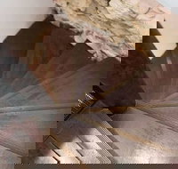 Historic 1890s House With Terraced Backyard Deck H346 - Tourism TAS