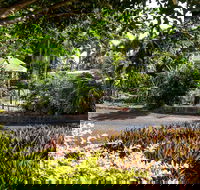 Country Comfort Bundaberg - Tourism TAS