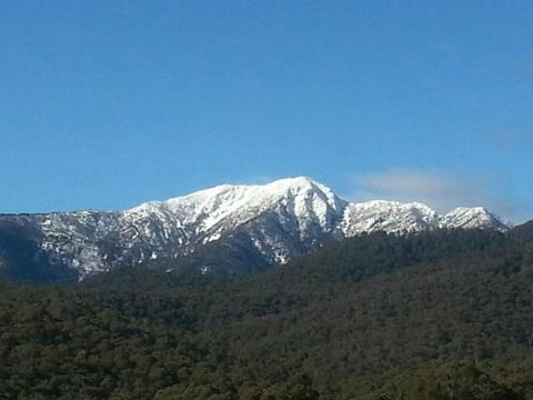 Alps Lodge - Tourism TAS 4