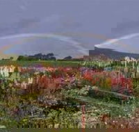 Boat Harbour Garden Cottages - Tourism TAS