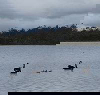 Lake Yalleena Nature Retreat - Tourism TAS