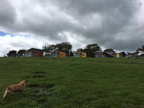 Lush Pastures - Tourism TAS 1