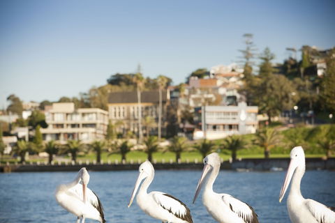 The Sebel Harbourside Kiama - Tourism TAS 1