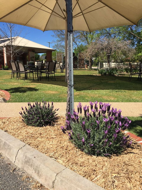 Wine Village Motor Inn - Tourism TAS 4