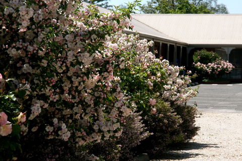 Wine Village Motor Inn - Tourism TAS 1