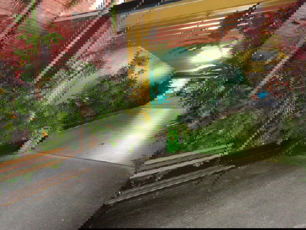 Back Creek NSW Hobart Tourism