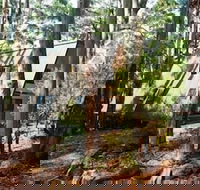 Green Leaves Cabin - Tourism TAS