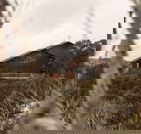 Duck Inn Mt Buller - Hobart Tourism