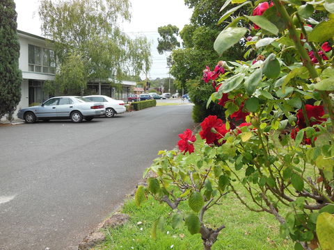 Ringwood Motel - Tourism TAS 1