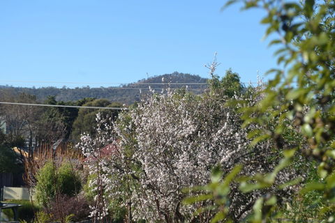 Mulberry Cottage B&B - Tourism TAS 5