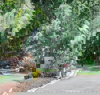 Oasis at Palm Cove - Tourism TAS