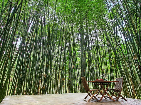 Azabu Boutique Accommodation Byron Bay - Tourism TAS 0