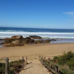 Bellbird Cottage B & B - Hobart Tourism 0