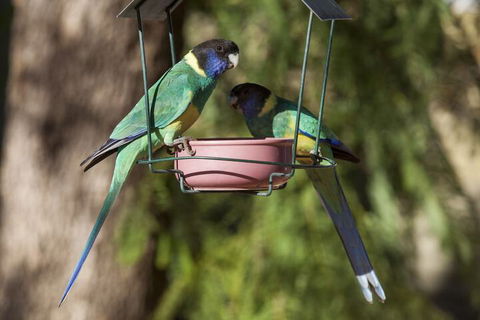 Kathys Place Bed And Breakfast - Tourism TAS 2