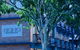 Soho Brisbane - thumb 0