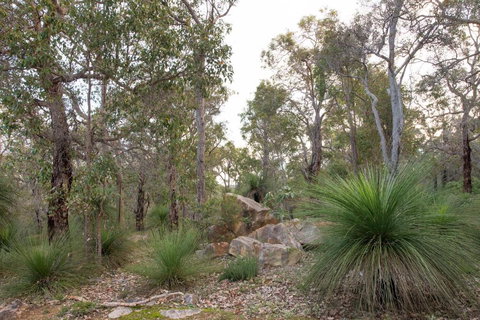 A Hidden Bush Delight - Hobart Tourism 6