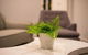 Astrina Garden View 2 Bedroom - thumb 6