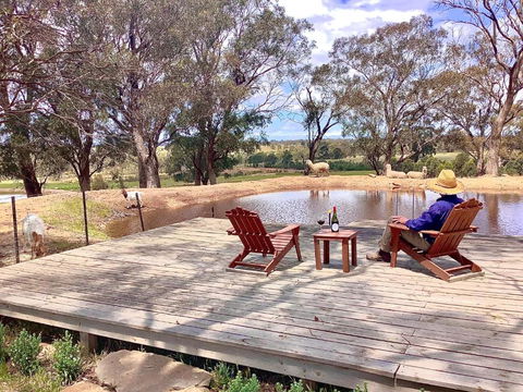 Gilgraves Vineyard Farmstay - Hobart Tourism 6