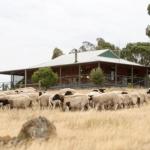 Gilgraves Vineyard Farmstay - Hobart Tourism 0