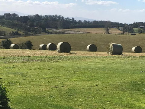 Windrush BnB Comboyne Australia - Hobart Tourism 3