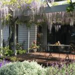 Windrush BnB Comboyne Australia - Hobart Tourism 0