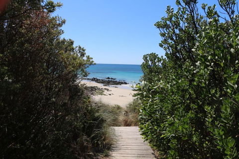 Sisters Beach Paradise - Tourism TAS 2