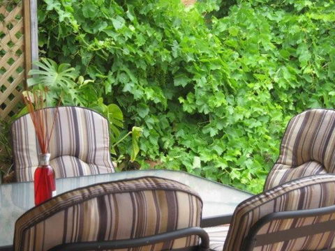 Amalie Cottage Waikerie Unit 1 - Tourism TAS 6