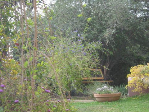 Amalie Cottage Waikerie Unit 1 - Tourism TAS 5