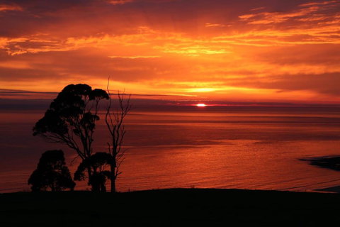 Penguin Seaside Farm - Tourism TAS 2