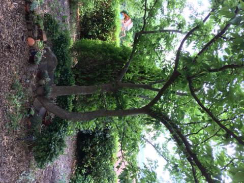 Holmhurst Guest House - Hobart Tourism 5