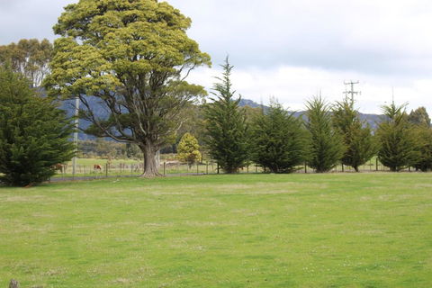 Tiny Cradle At The Good Place - Hobart Tourism 5