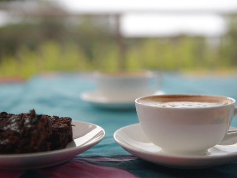 45B Wharf Street Downstairs - Tourism TAS 6
