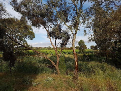 Barossa Glen Henris Cottage Bed & Breakfast - Hobart Tourism 6