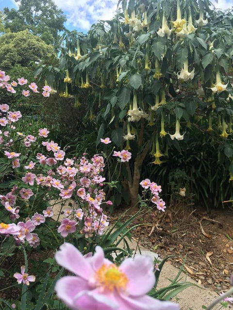 Adelaide Hills B & B Accommodation - Tourism TAS 6