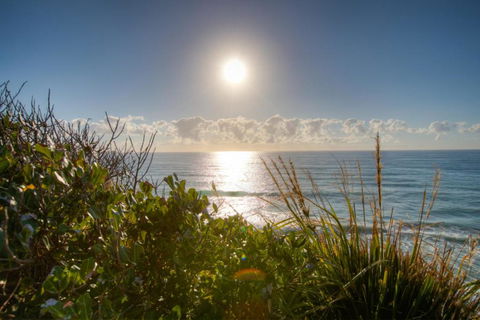 Osprey Sapphire Beach NSW - Tourism TAS 6