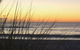 Wonky Pine Beach House NARRWALLEE 4 Bedroom - thumb 7
