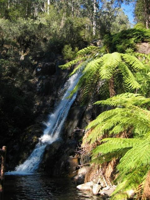 RiverCottage Selfcontained - Tourism TAS 2