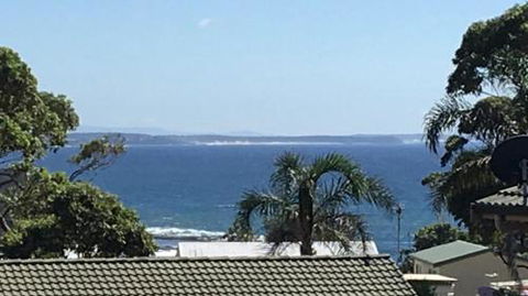 Lighthouse Palms - Hobart Tourism 5