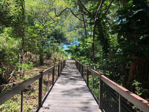 LANDSCAPE At PALM COVE - Tourism TAS 1