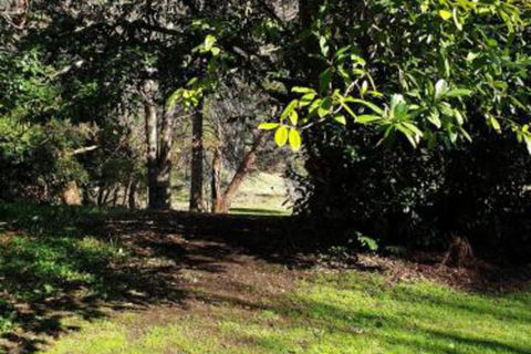 Redruth 2 Bedroom Cottage Situated In Wandiligong - Tourism TAS 4
