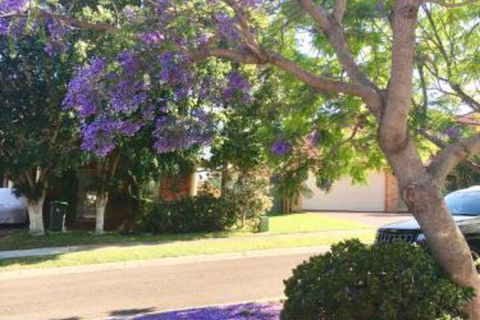 ULTRA SPACIOUS STYLISH HOME In PRESTONS SYDNEY - Tourism TAS 7