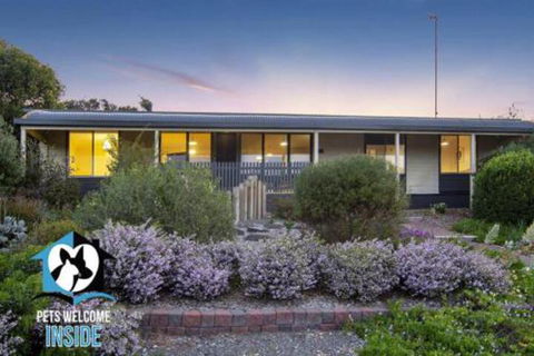 Retro Groovy Pad Pt Elliot - Tourism TAS 5