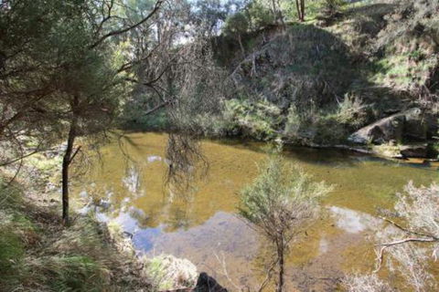 Alpine Streamside - Tourism TAS 3