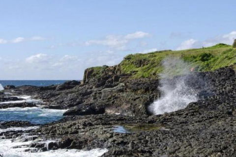 Seaview On Boanyo Ocean Views & Close To Beach - Tourism TAS 5