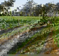 Renovated Cottage Aberdare Hunter Valley - Tourism TAS