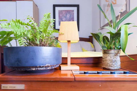 Beautiful Lush & Green Oasis Studio Apartment - Tourism TAS 6