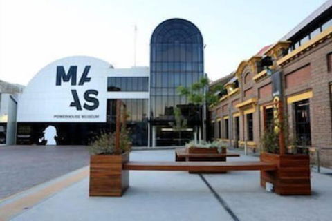 NEW Cozy Comfy APT Near Sydney Airport & CBD - Tourism TAS 6